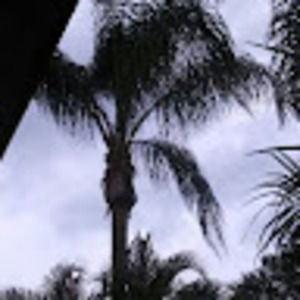 Meet your Posher, Polo